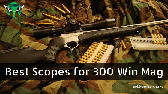 best scopes for 300 win mag