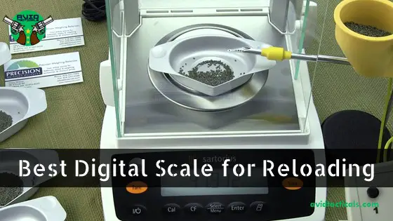 Best Digital Scale for Reloading